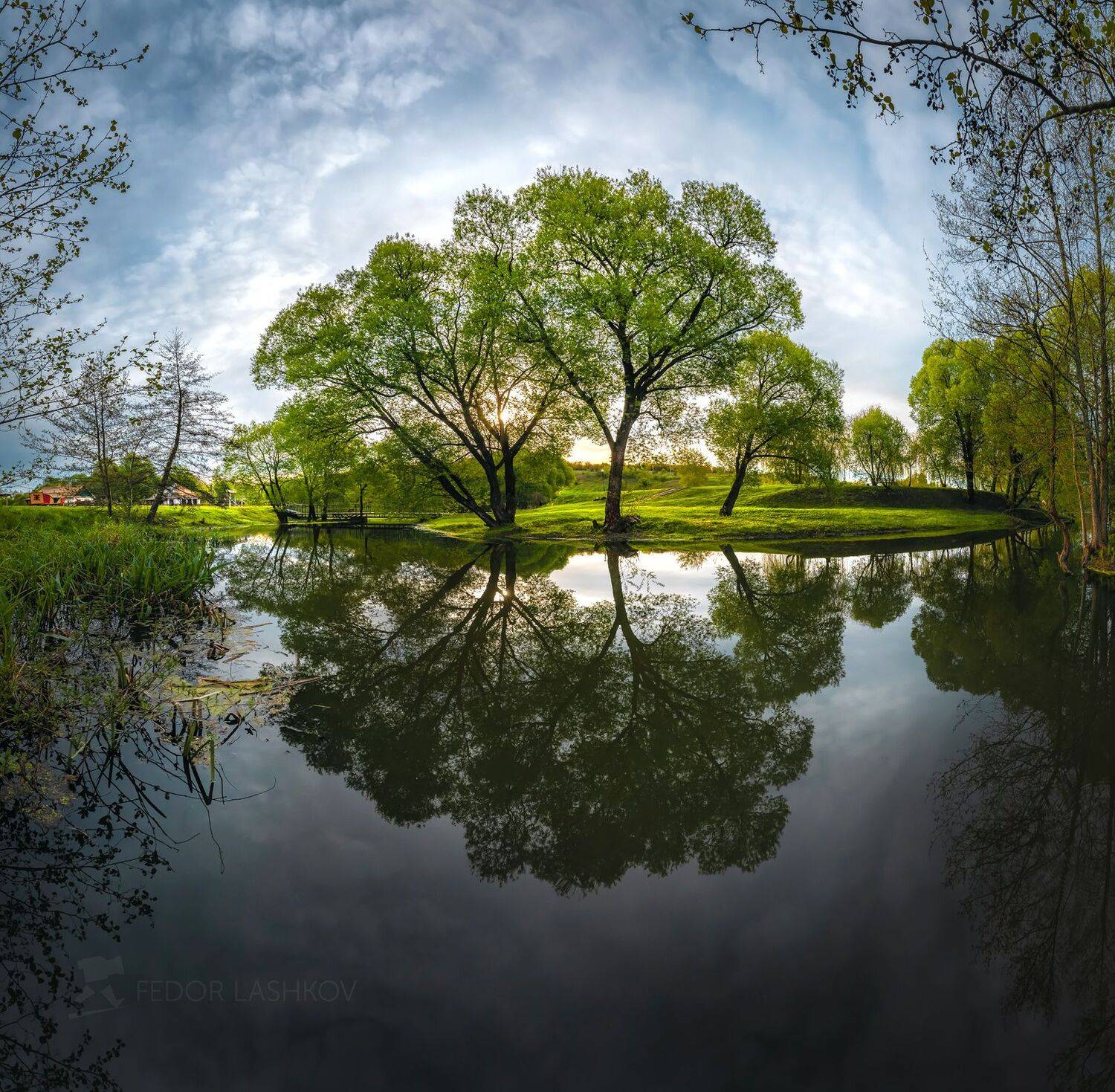 белгородская область, май, весна, весенний, рассвет, берег, река псёл, ива, тишина, отражение, дерево, деревья, облака, ива белая, кроны, спокойствие,, Лашков Фёдор