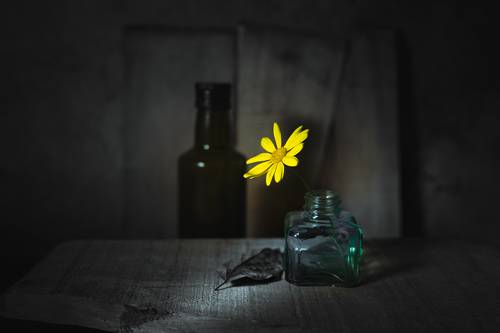 Still life