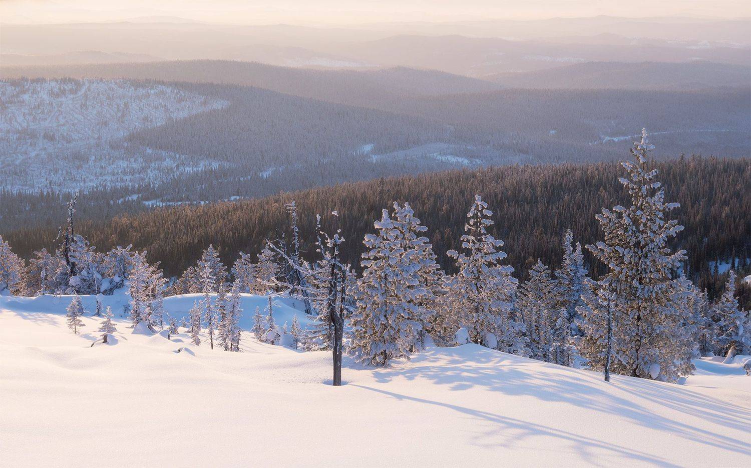 , Лещёнок Александр