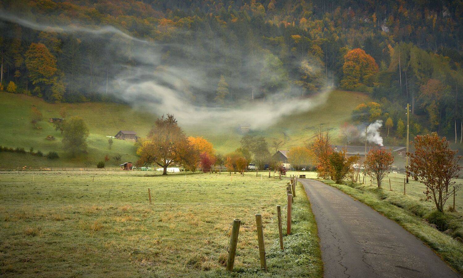 в гостях у осени, Boris Bekelman