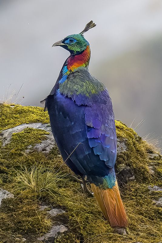 Alone фото превью