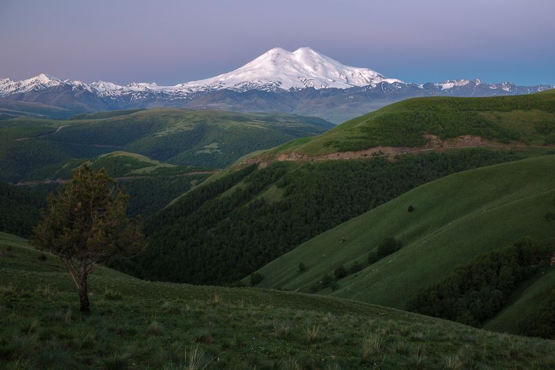 Кавказ  Утренний Эльбрус фото превью