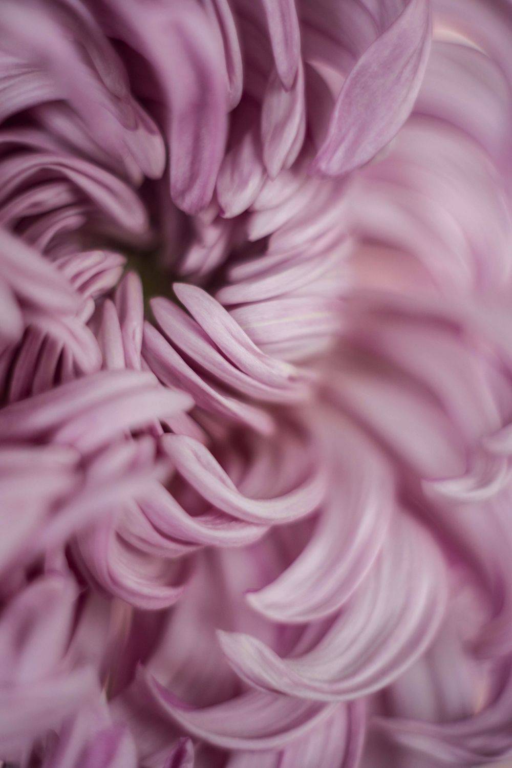 , Ксения Максименко