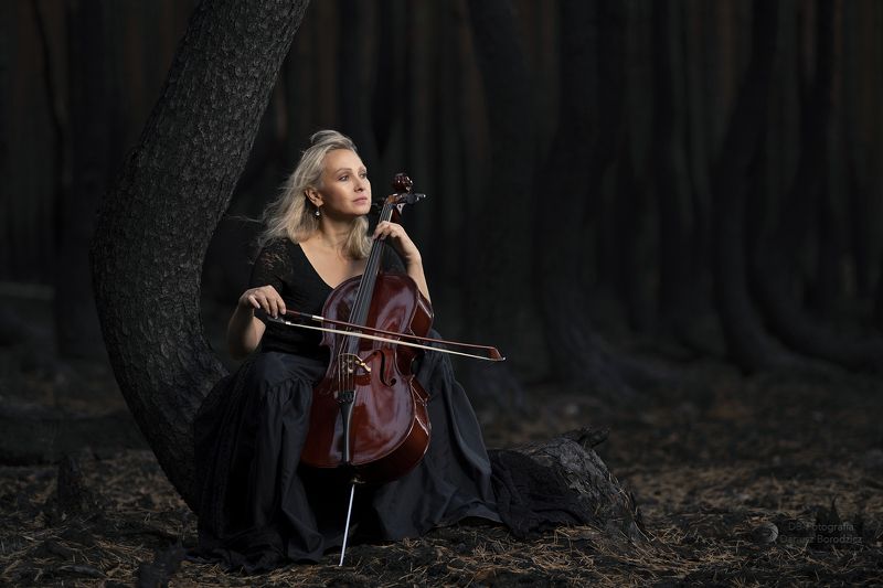 Requiem dla lasu фото превью