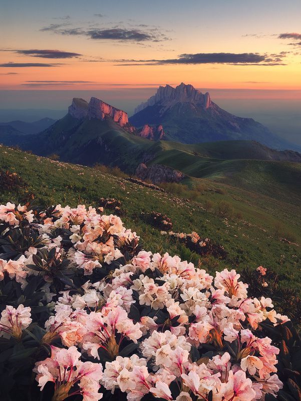 Большой Тхач фото превью