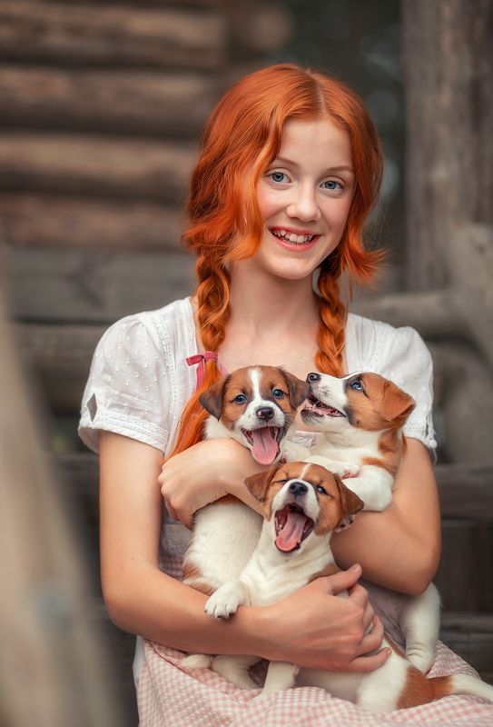 Рыжики фото превью