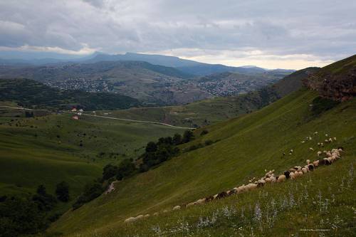 Отара..
