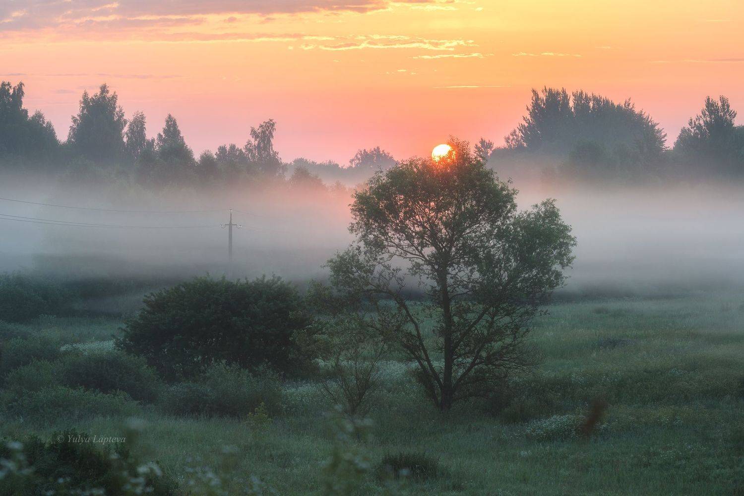 , Юлия Лаптева