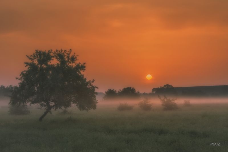 Утренняя нега фото превью
