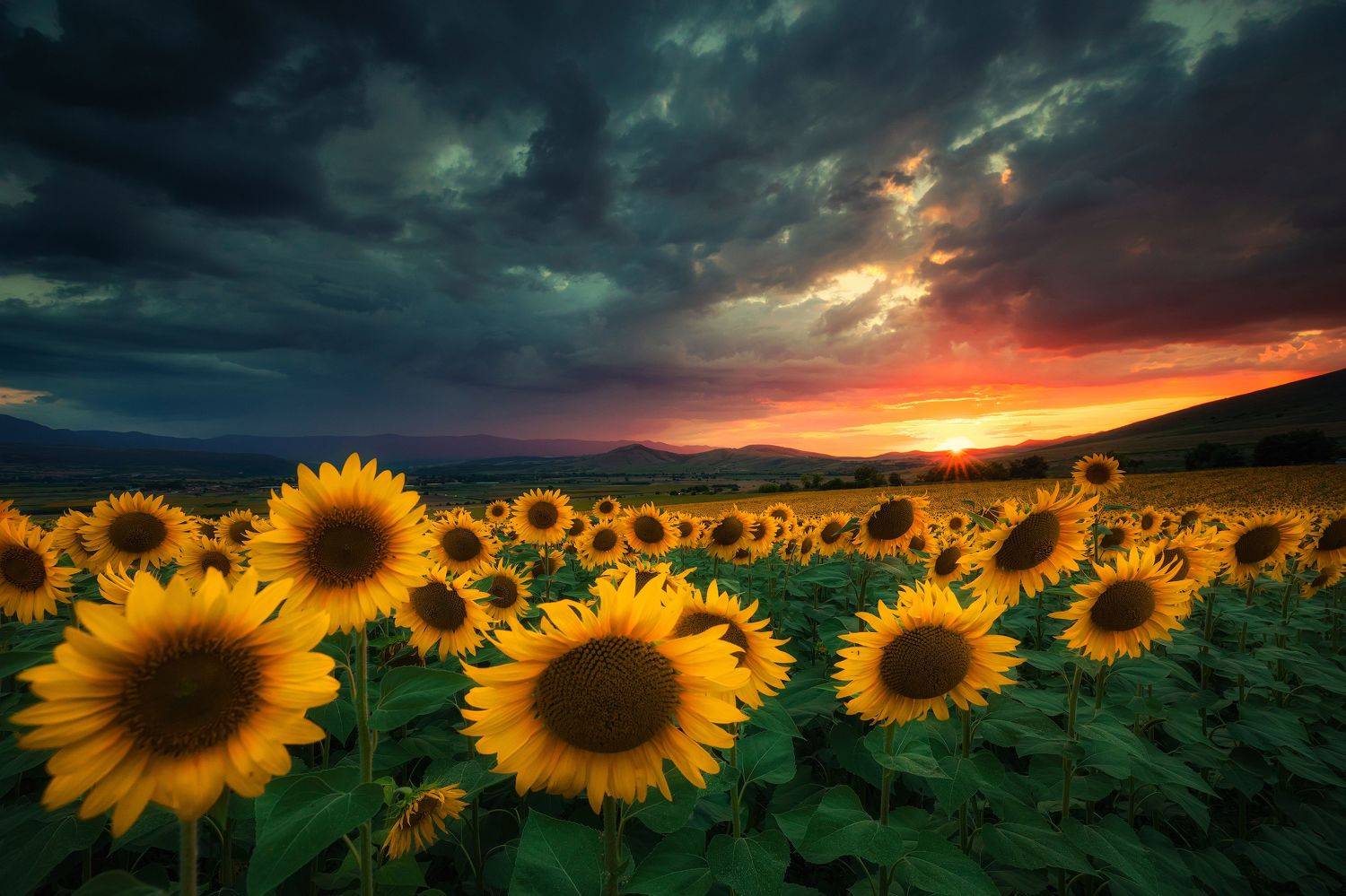 , Костадин Маджаров