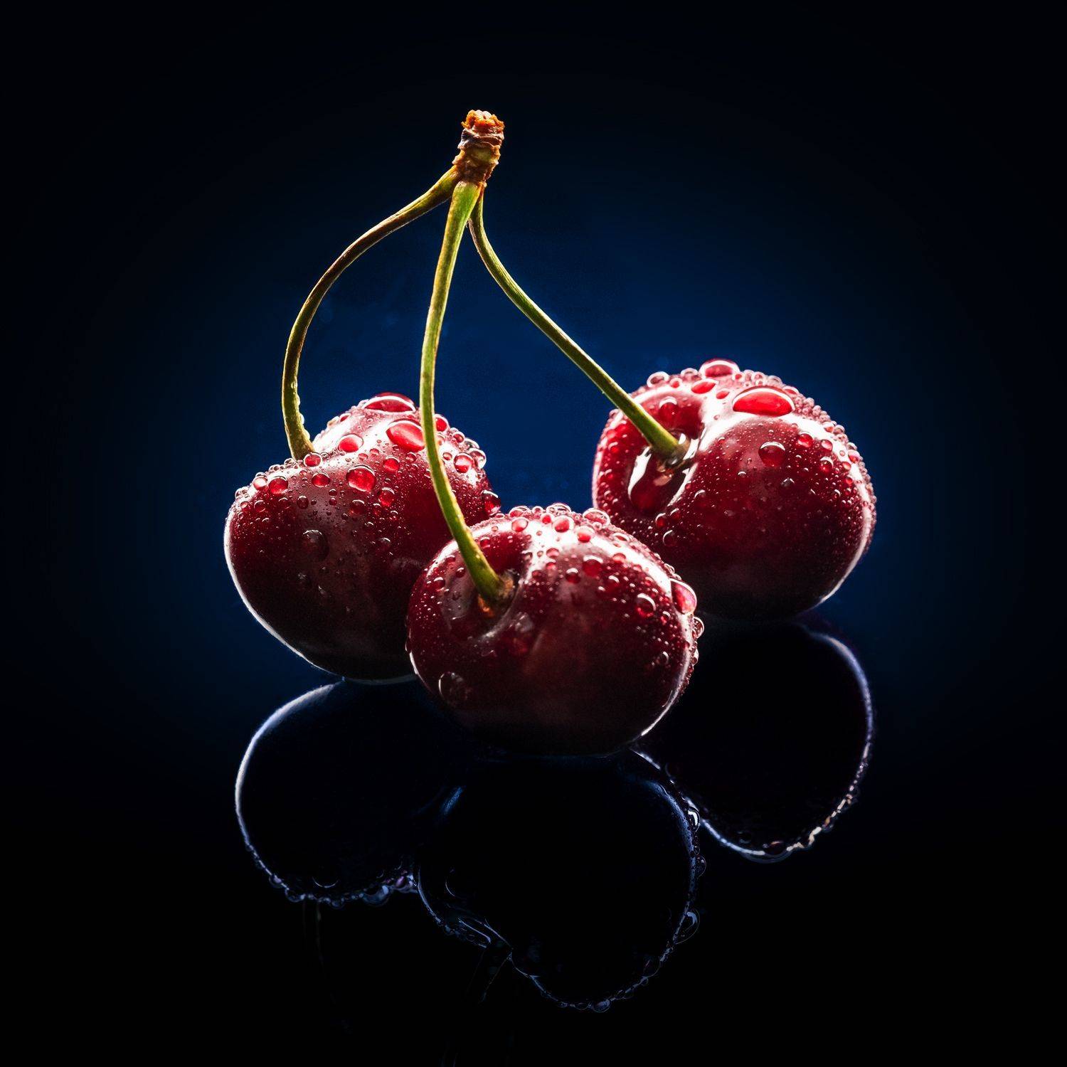 , Дмитрий Шиперко