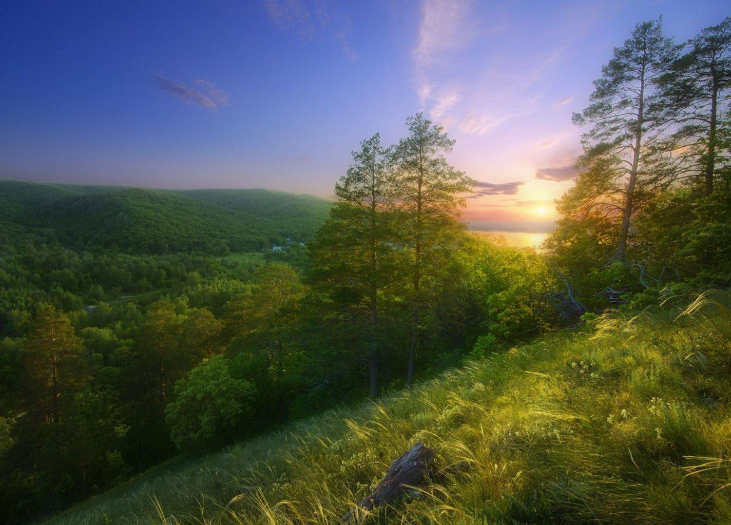 , Александр Тормосин