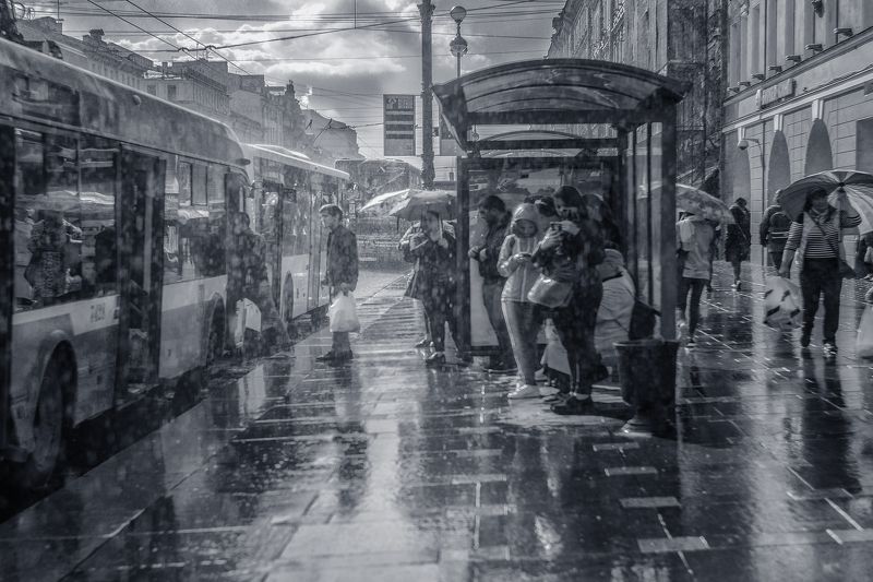 город, улица, дождь, улица На Невском проспекте фото превью