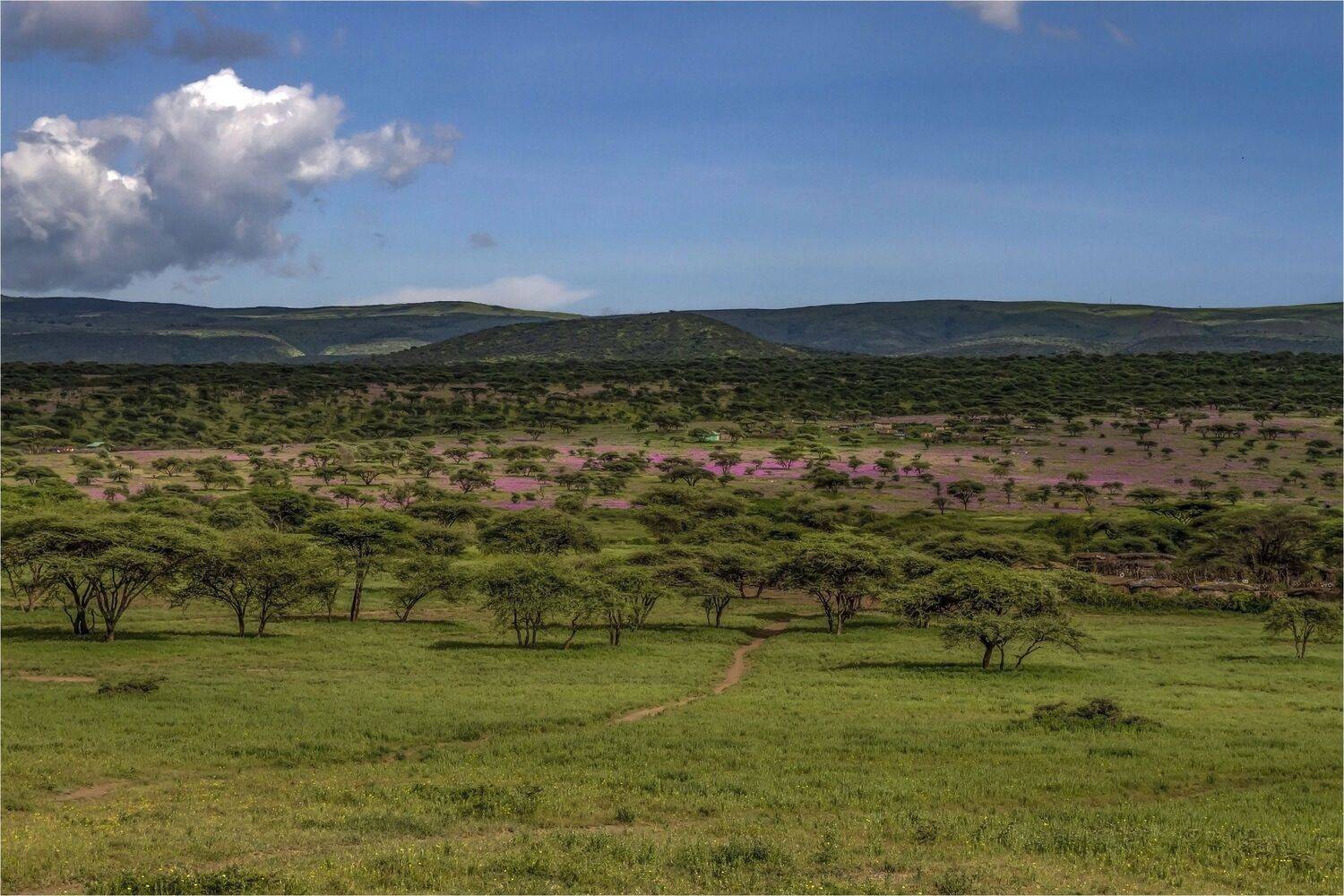 серенгети,танзания, Валентина Булкина