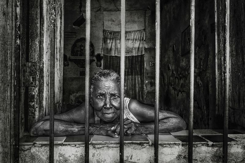 Robyn Carter Portfolio фото превью