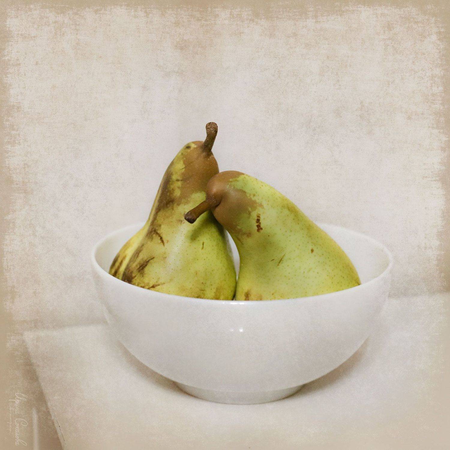 груши отношения пара семья любовь, Соколова Ирина