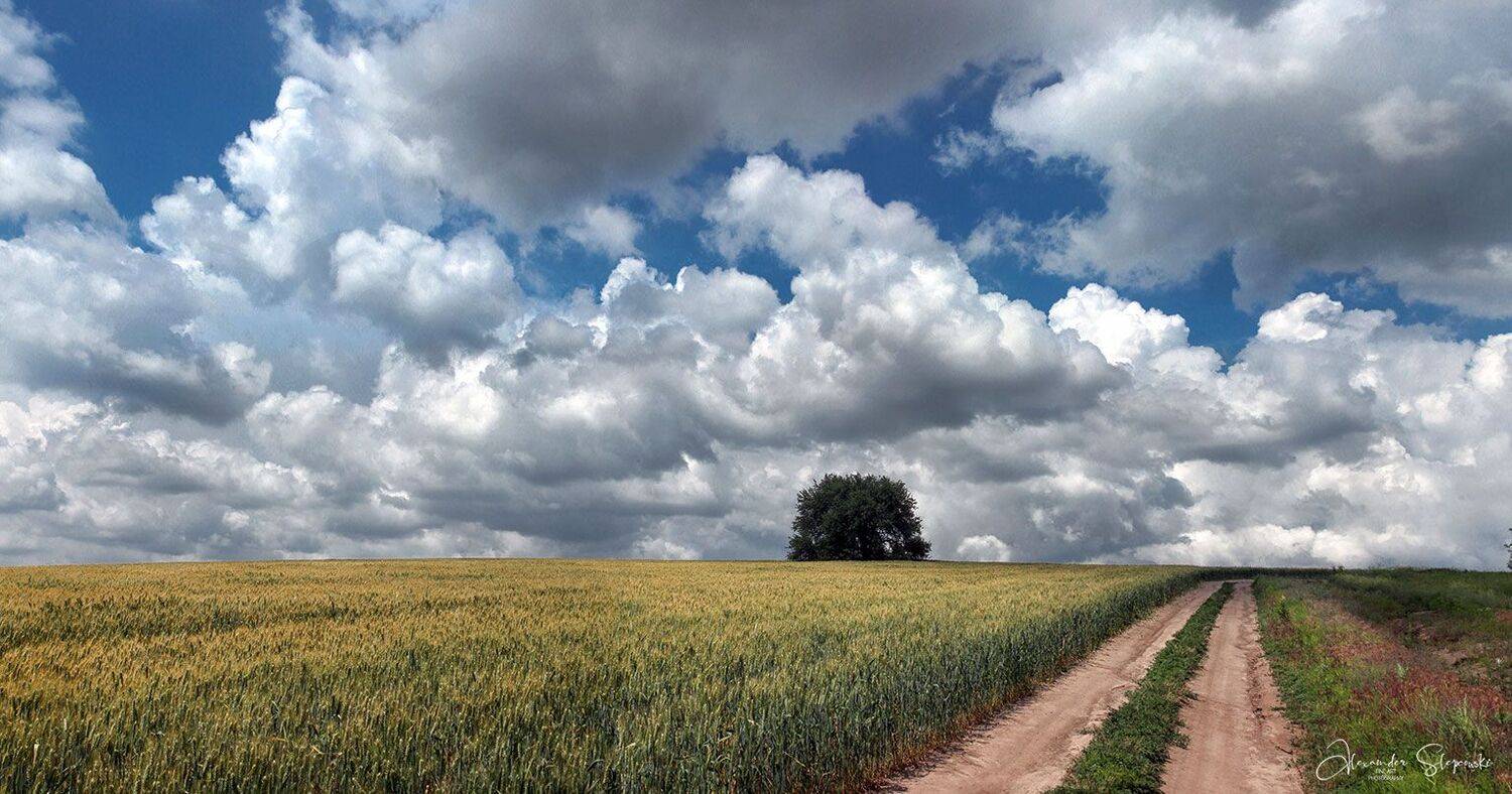 summer, sky, Alexander Slepcowski