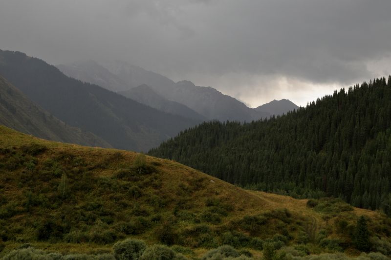 в горах Алатау фото превью