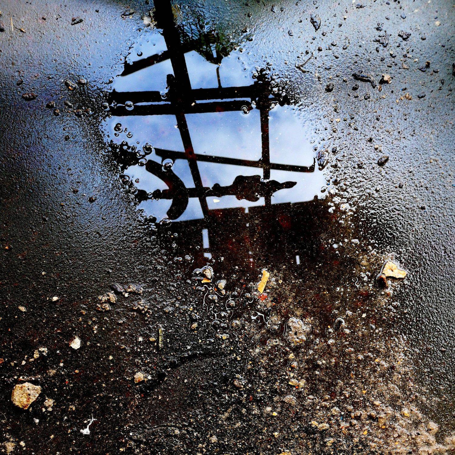 , Антон Лаба