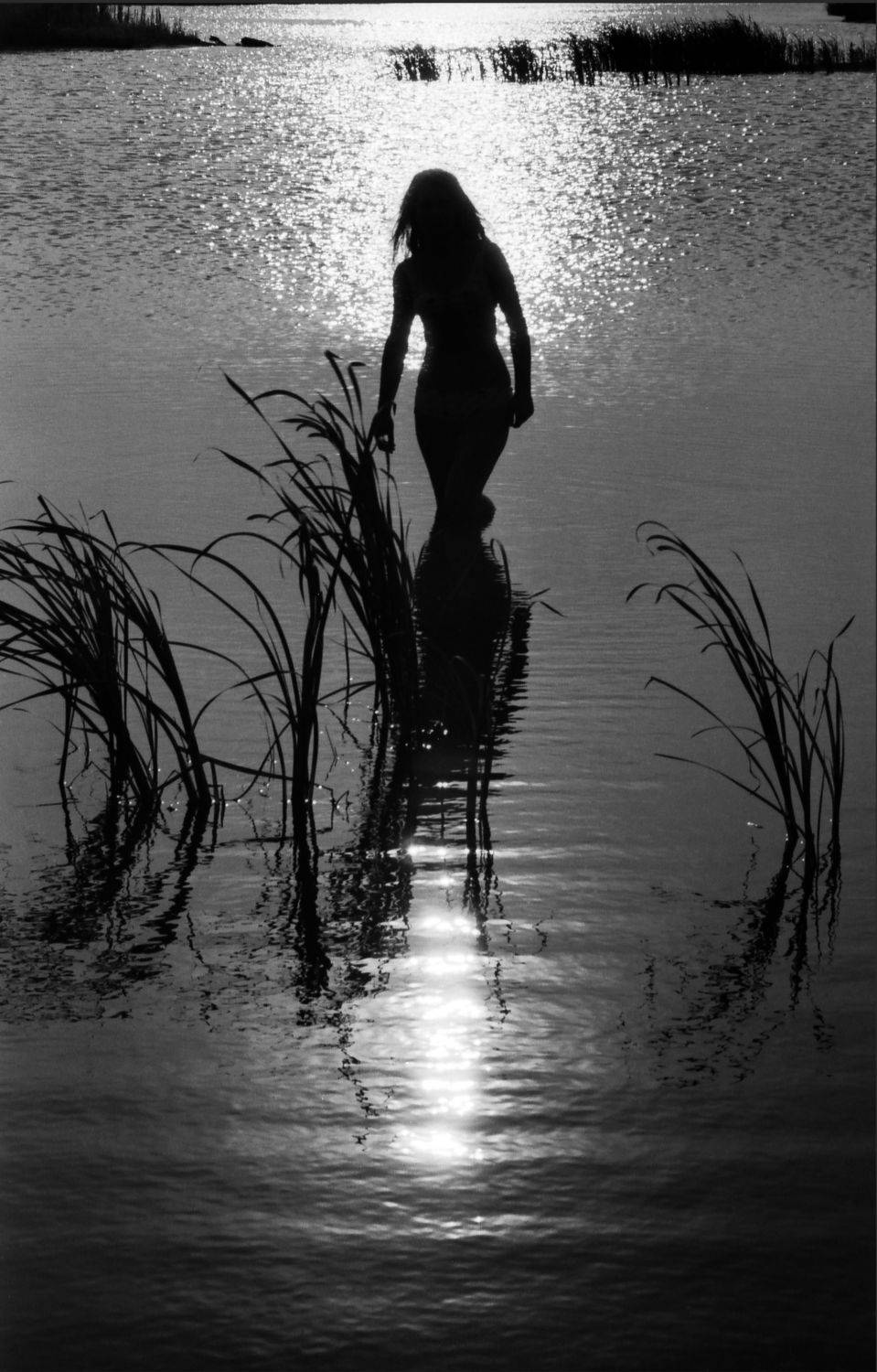 , Владимир Краснов