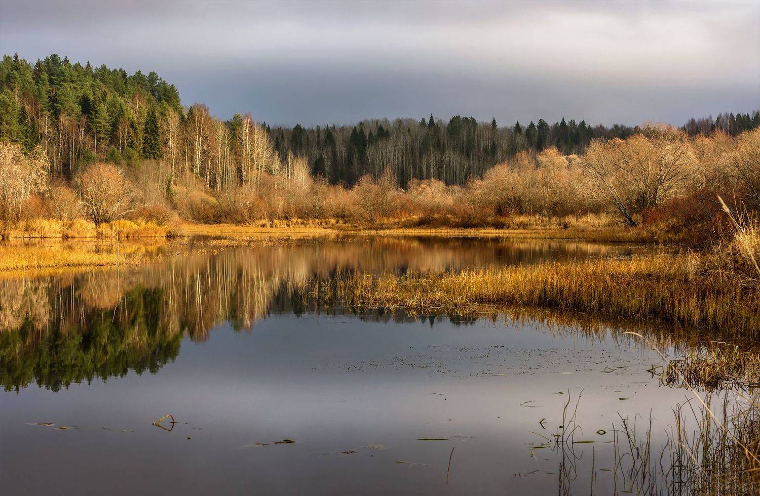 осень сентябрь река уйма берег вода отражения кусты деревья тишина, Вера Ра