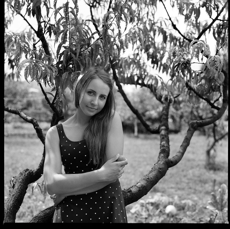 hasselblad2000fcw, planar, 80mm, пленка, аналог, средний, формат, 120мм Персиковое настроение фото превью