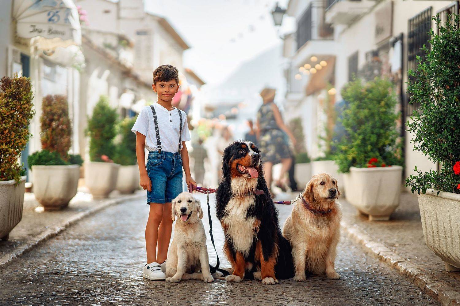 , Шаповалов Олег