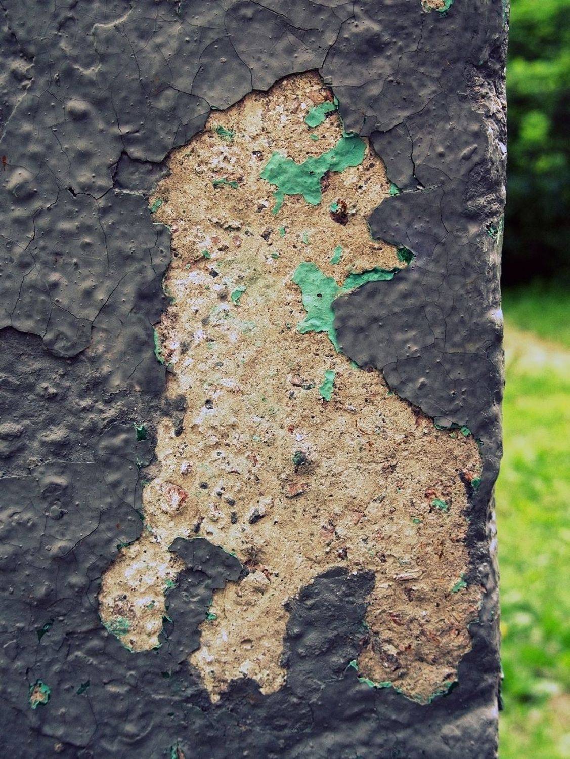 pareidolia, ПОЛУЕВ ИЛЬЯ