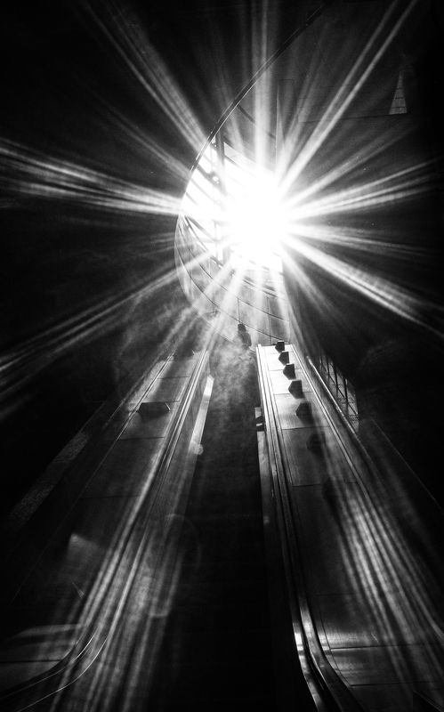 Light фото превью