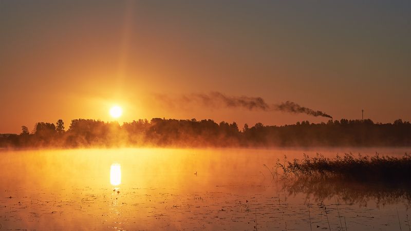рассвет ***золотой рассвет фото превью