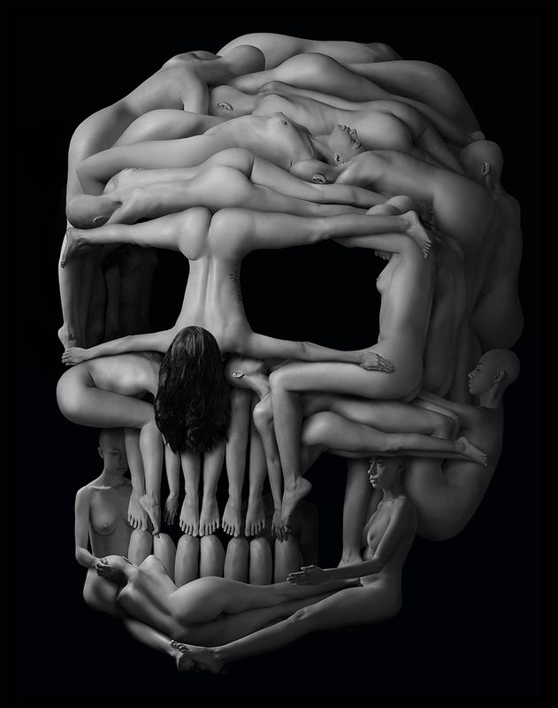 Skull фото превью