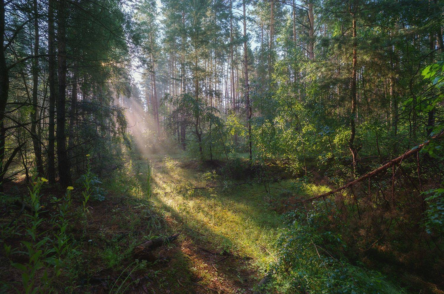 , Игорь Кляхин