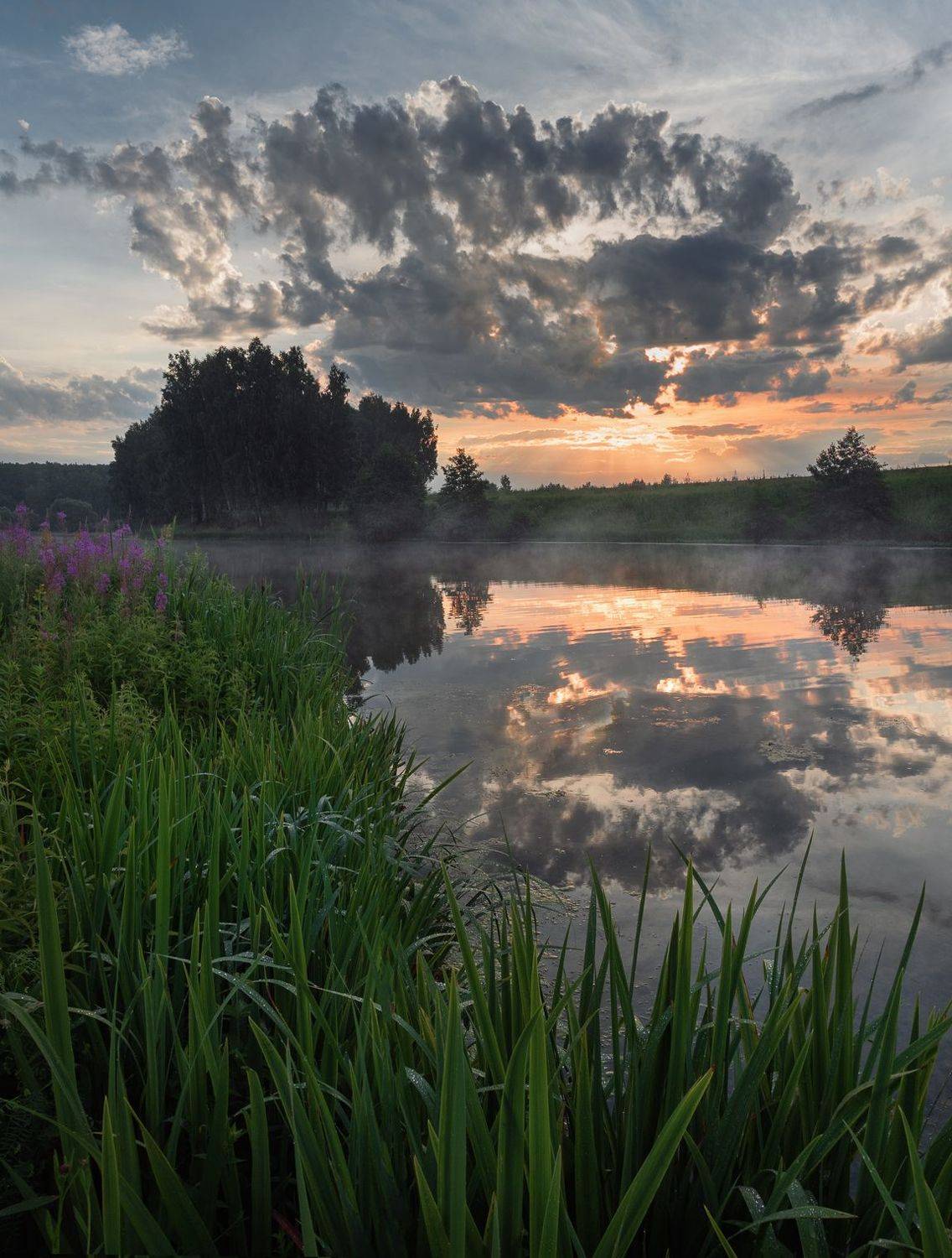 , Баранов Олег