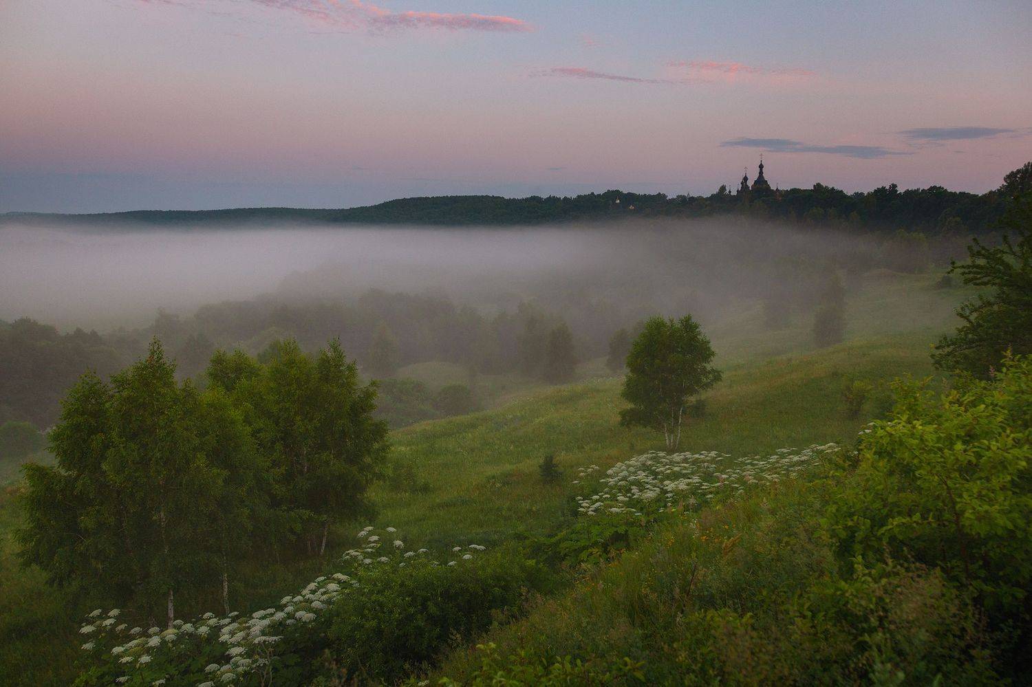 , Александр Стрельчук
