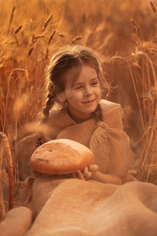 Wheat Field фото превью