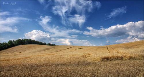 Our daily bread...