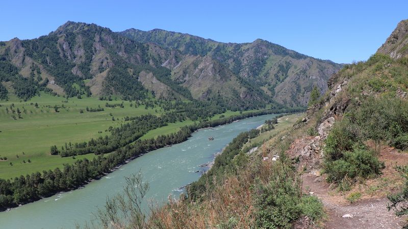 природа,алтай,катунь,река,лето Катунь фото превью