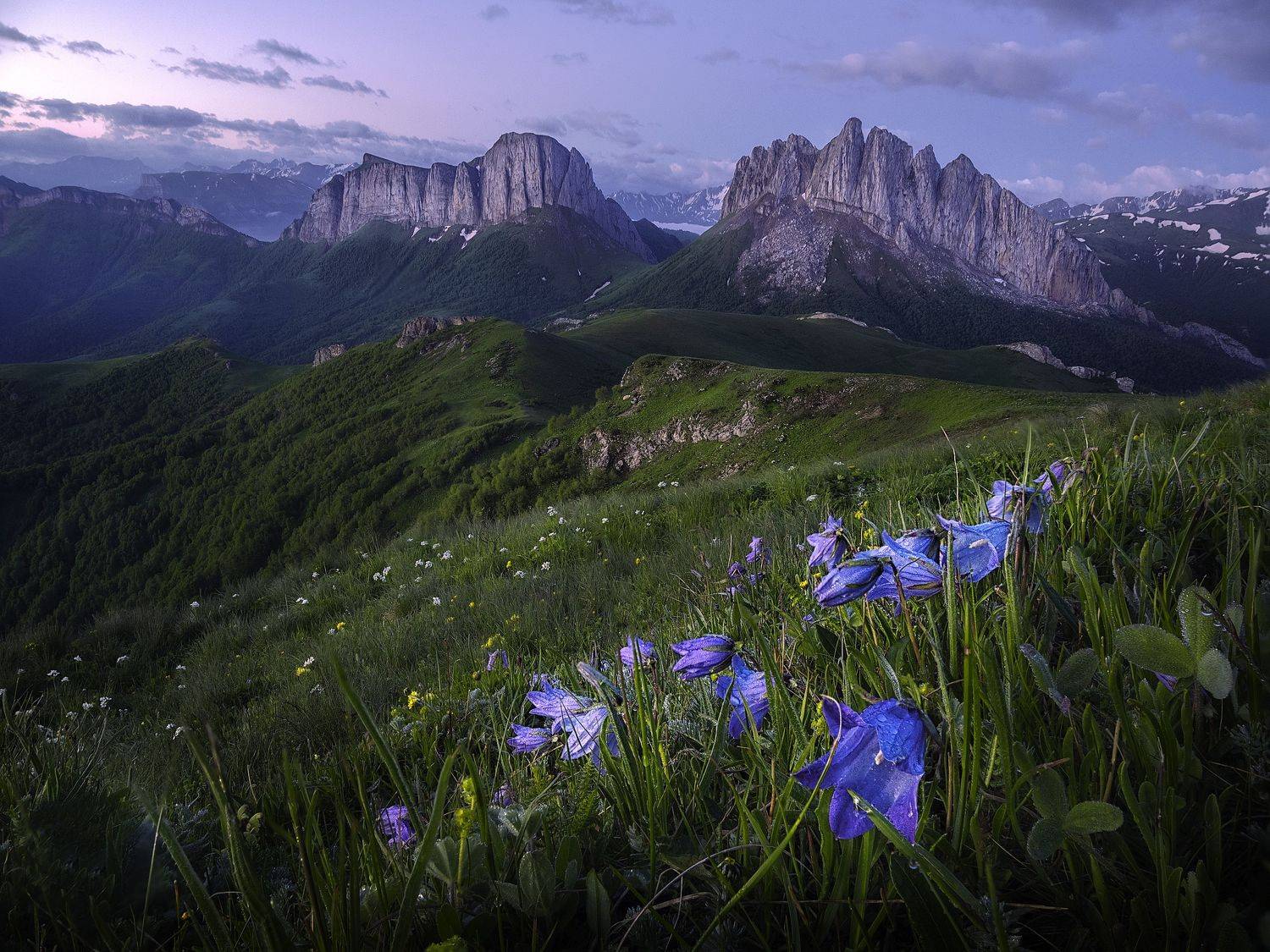 , Андрей Родионов