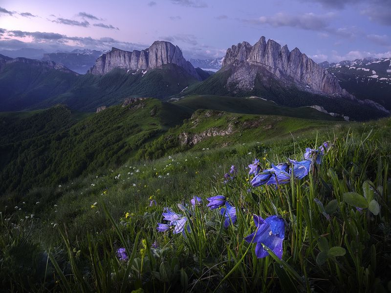Ачешбоки фото превью