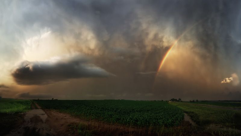 Беларусь Полями, вечерами фото превью