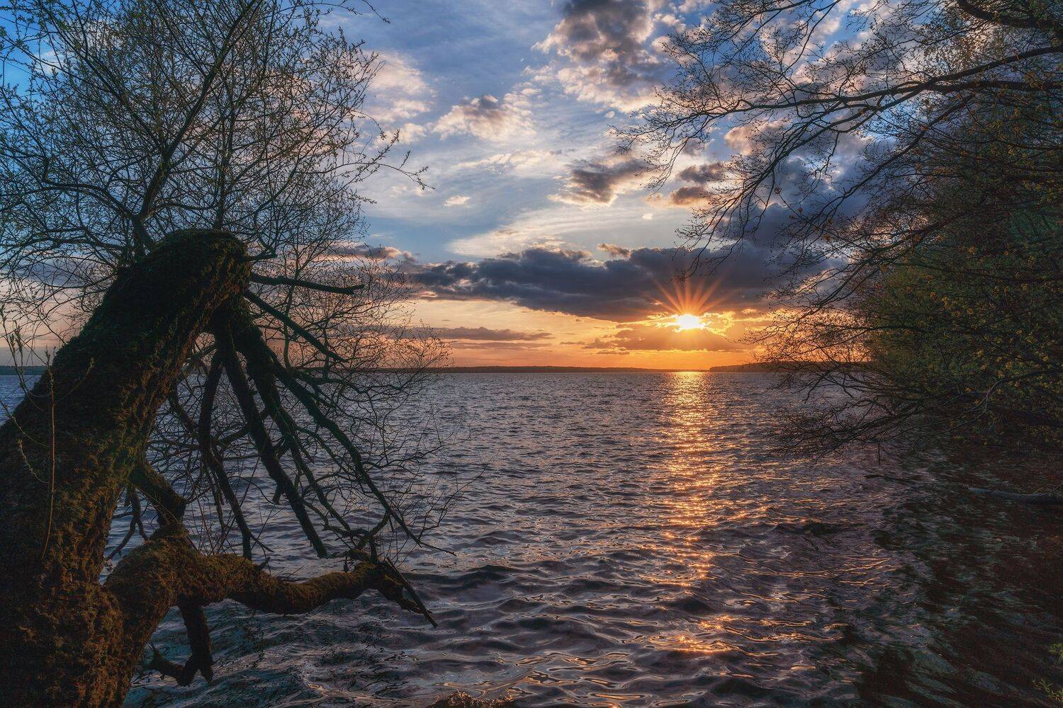 , Константин Дэм