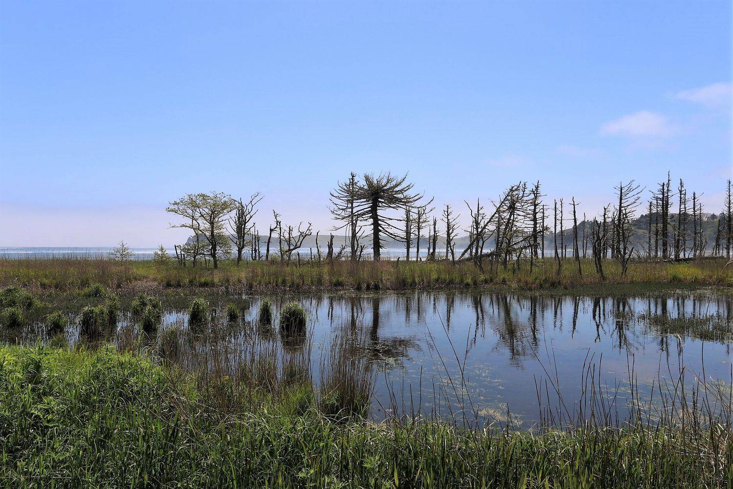 Шикотан, Дальний Восток, Курилы, Курильские острова, бухта Церковная, Максимушкина Ольга