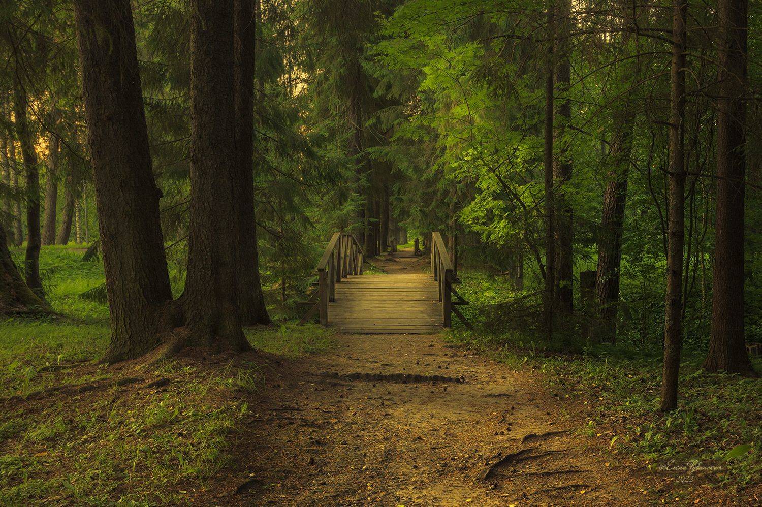 щелыково, кострома, костромская область, Елена Рубинская