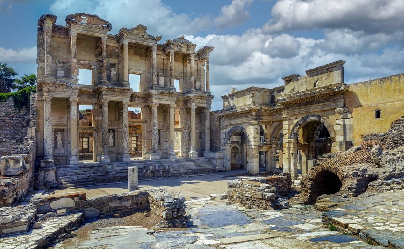 Библиотека Цельса фото превью