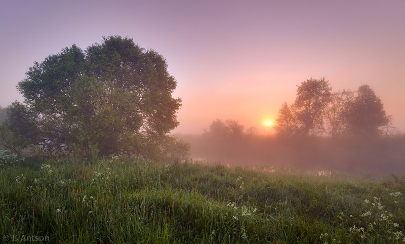 пейзаж, природа, рассвет, туман, река Начинается новый день фото превью