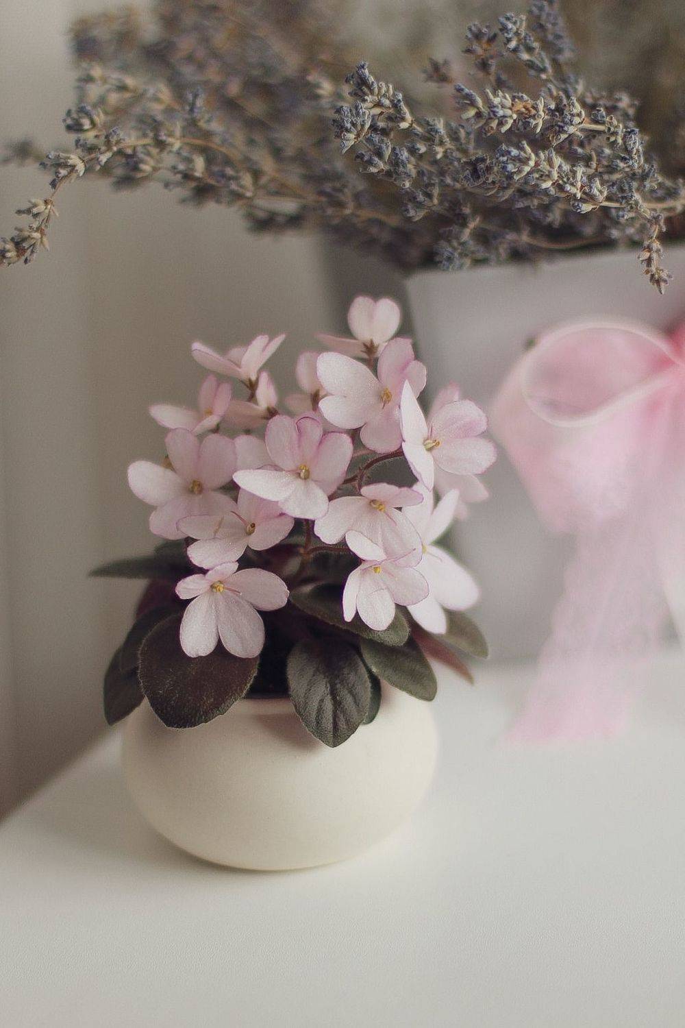 , Дарья Дмитриева