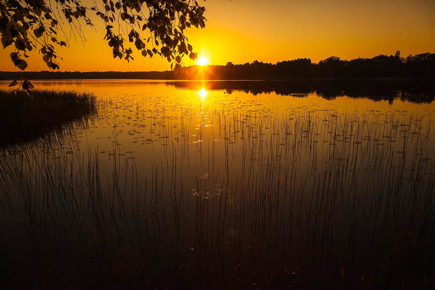 , Напалкин Станислав