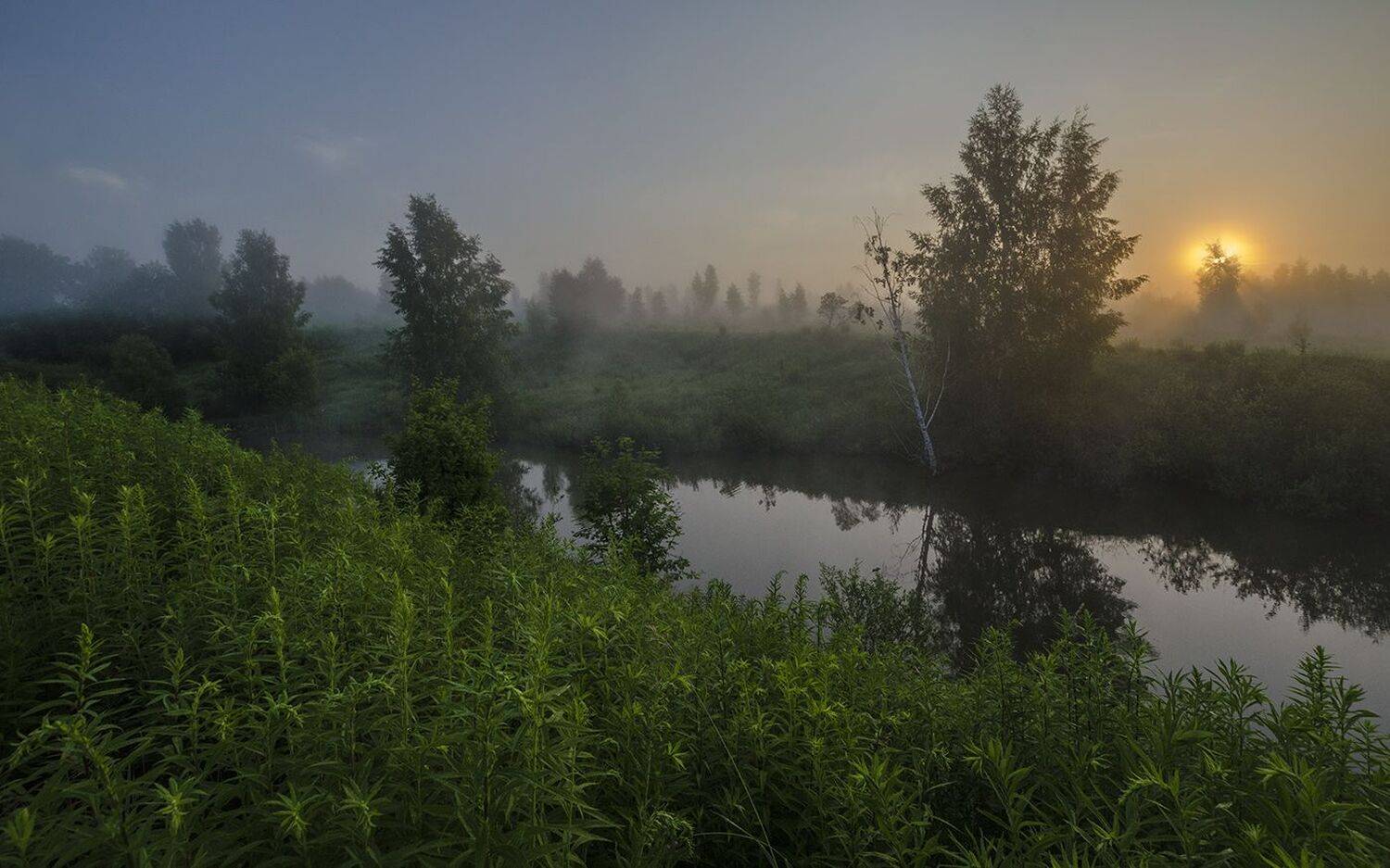 утро, лето, июль, большие байдики, Михаил Агеев