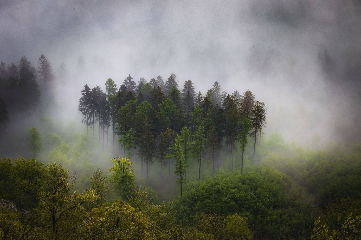 , Konf&aacute;l Miroslav