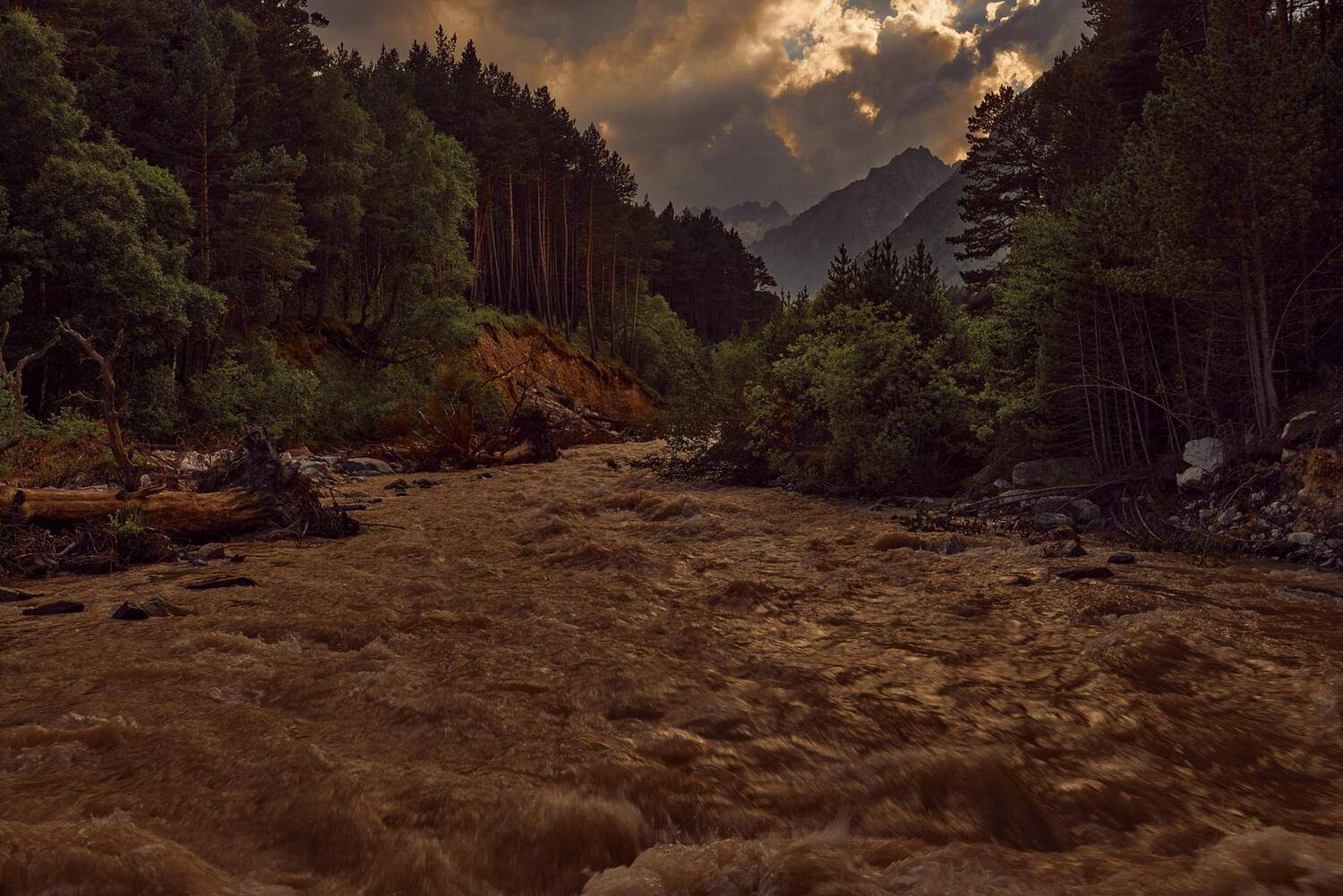, Борис Дацковский